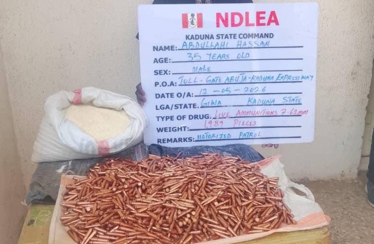 NDLEA intercepts UK, Australia-bound cocaine, opioid consignments in carton walls